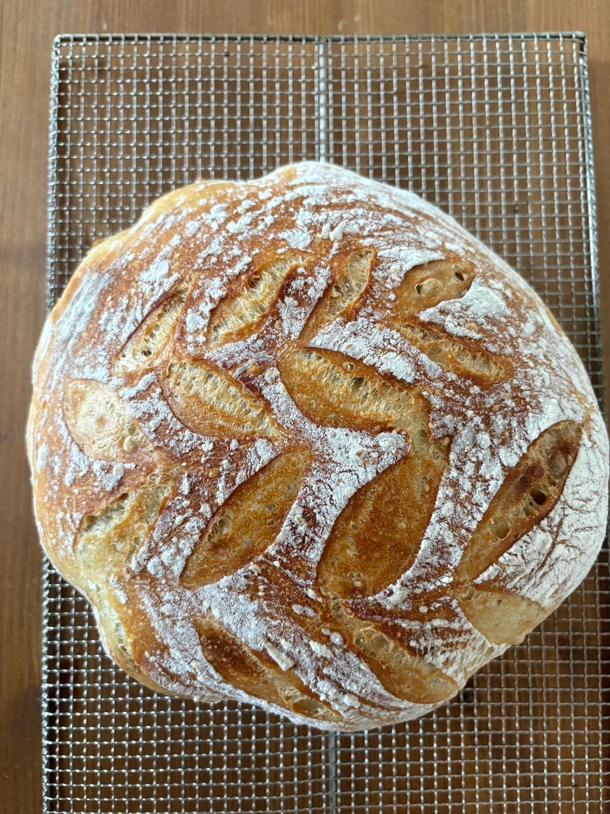 A pale sourdough with leaf scoring
